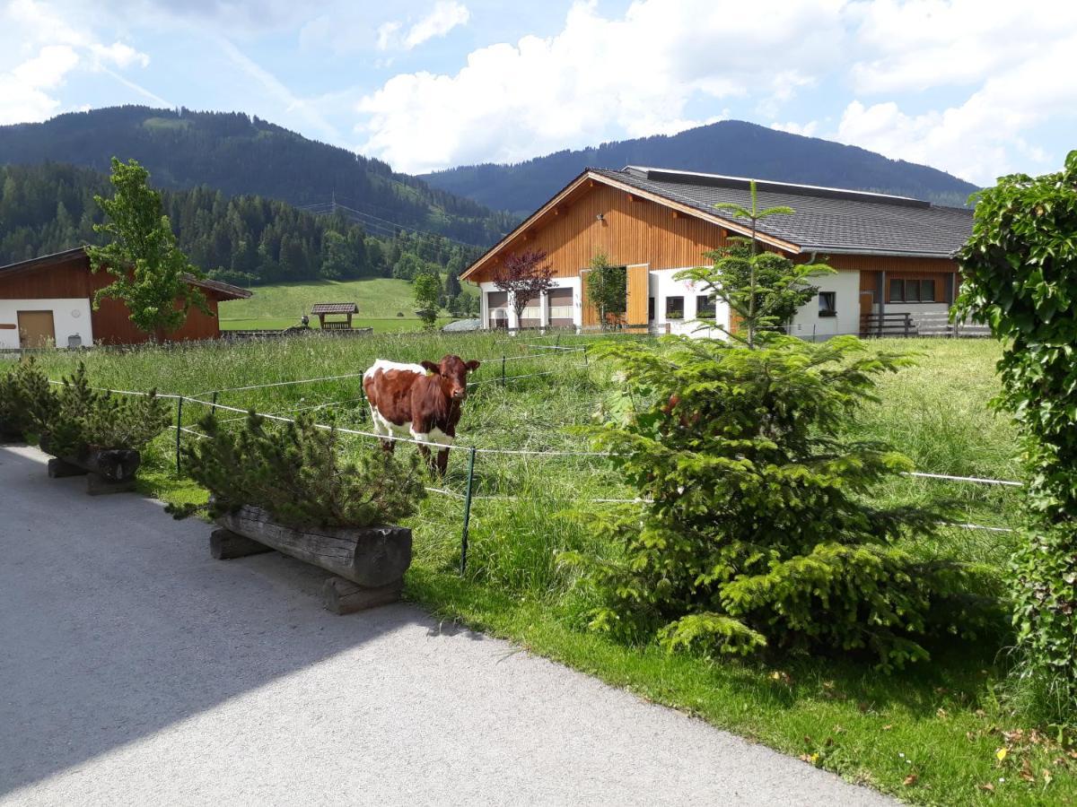 Landhaus Fingerhof Flachau Luaran gambar