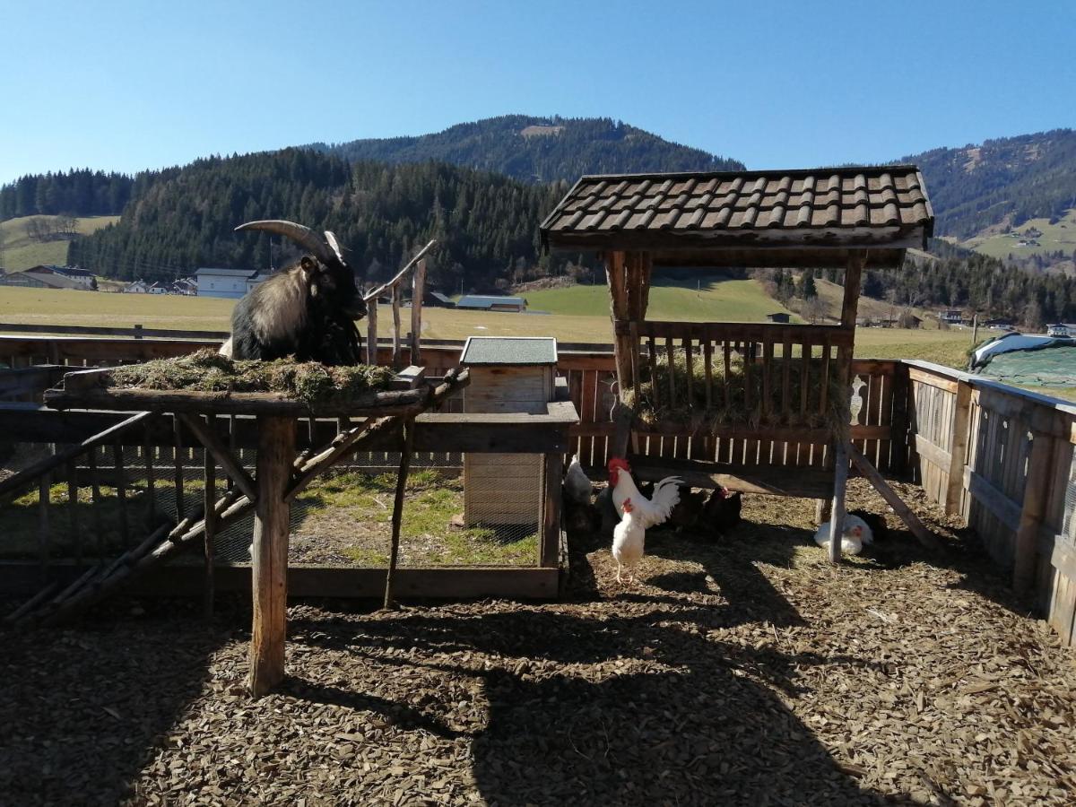 Landhaus Fingerhof Flachau Luaran gambar